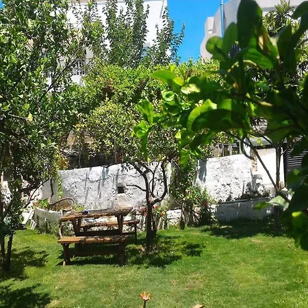 La Pergola 3* Бодрум